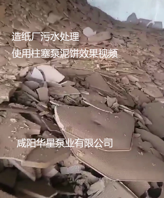 造紙廠(chǎng)污水處理使用柱塞泵泥餅效果視頻 造紙廠(chǎng)污水處理使用柱塞泵泥餅效果視頻